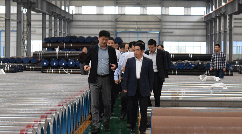 市領(lǐng)導張愛軍一行來公司調(diào)研
